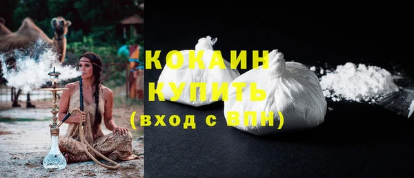 твердый Богородск