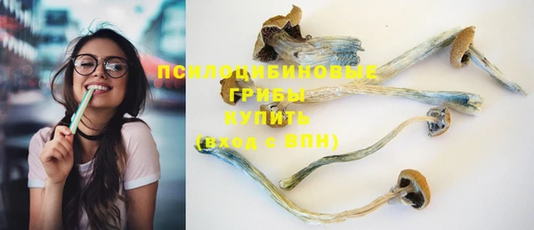 mdpv Бронницы