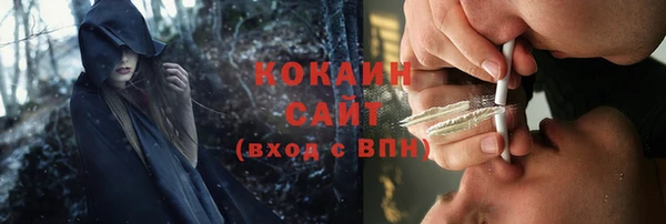 шишки Богданович