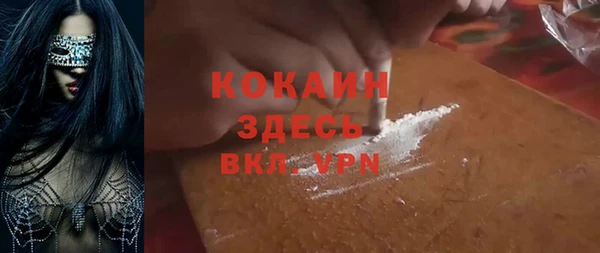 твердый Богородск