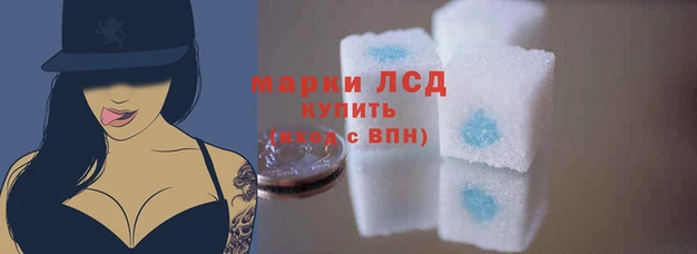 кокс Бородино