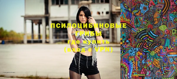 СК Богородицк